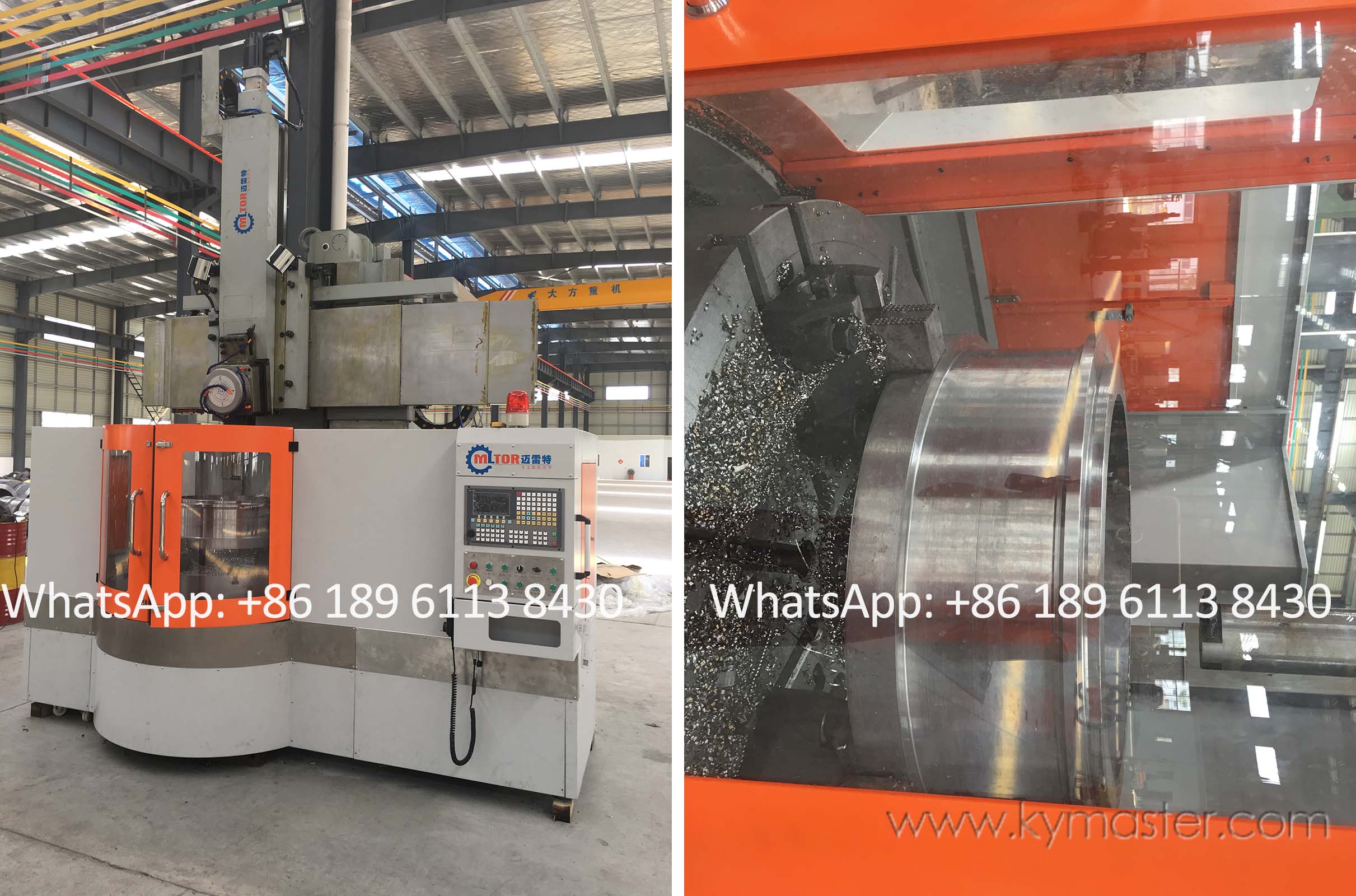 feed ring die
